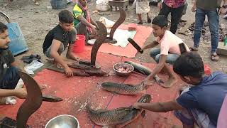 Amazing Grass Carp Fish Cutting Skills fishcutting [upl. by Enicnarf288]