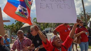 Florida and Ohio Turning Blue  A Tarot Reading [upl. by Chimene]