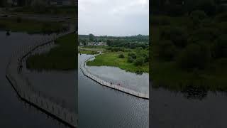 Irelands First Ever Floating Boardwalk [upl. by Arola]