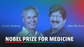 Nobel prize for medicine goes to US scientists Ambros and Ruvkun  ABSCBN News [upl. by Keeryt822]