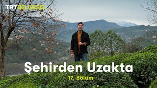 Şehirden Uzakta  RizeDağsu mahallesi  TRT Belgesel [upl. by Ymled]