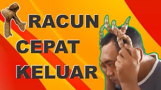 Cara Mengetahui Temu Ireng Yang Asli [upl. by Neersin350]