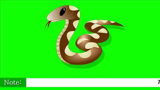 Cartoon Snake Green Screen  Birds Green Screen  Animals Green Screen Cartoon [upl. by Yrrep]