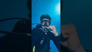 Tenerife me encantó ☺️ scubadiving buceo scubadive tiburon shark scuba ocean underwater [upl. by Reseda]