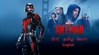 Ant Man Full Movie In Hindi  New Bollywood Action Movie Hindi Dubbed 2022 [upl. by Corel614]