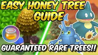 EASY HONEY TREE GUIDE GUARANTEED Rare Trees in Pokemon Brilliant Diamond and Shining Pearl [upl. by Eirolav708]