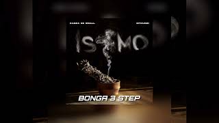 Kabza de Small amp Mthunzi  Bonga Dj Ally T 3 Step Revisit [upl. by Yentruoc]