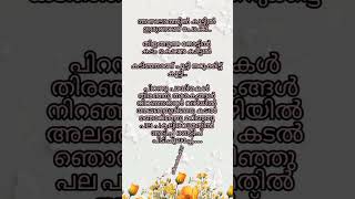 Habeebi drip song lyrics Nivin pauly ribin richard dabzee Malayalamlyrics [upl. by Woothen751]