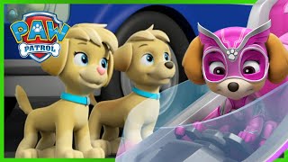 Skye Meets the Mighty Twins and MORE  PAW Patrol  Cartoons for Kids [upl. by Uriia165]