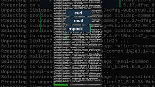 How to send email from linux using smtp  Tutorial by Mailtrap [upl. by Ahsoym564]