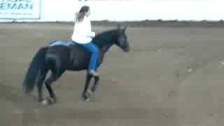 Stacy Westfall Freestyle Reining [upl. by Nylodam836]