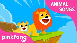 Lion Lessons  Animal Songs  Learn Animals  Pinkfong Animal Songs for Children [upl. by Stirling]