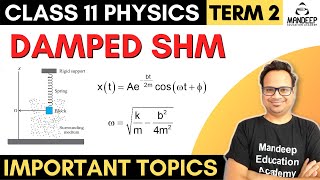 Damped Oscillation Class 11 Physics Term 2 Damping in Simple Harmonic Motion SHM [upl. by Vanden]