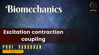 Excitation contraction coupling [upl. by Torbart]