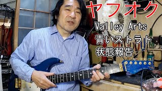 【ヤフオクで落札】青いValley Artsの現状報告 [upl. by Dulla]