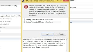 Several ports8005 8080 8009 required by Tomcat Server at localhost are already in use [upl. by Naoj877]