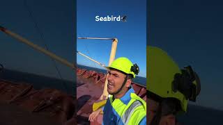 Seabird in samundar video viral🇳🇪🇳🇪 trending [upl. by Nitnilc]