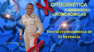 Short video motivacional de la Conferencia 3 La Teoría cromosómica de la herencia [upl. by Wolcott760]