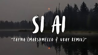 TAYNA  SI AI MARSHMELLO amp UKAY REMIX LYRICS [upl. by Adimra]