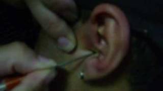 Marcelo furando o Tragus [upl. by Eide]