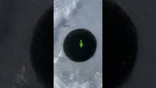 Ever seen a tube do this before icefishing [upl. by Tur]