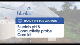 Bluelab pH amp Conductivity probe care kit [upl. by Salita829]