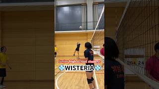 中学生日記２✨ wisteria volleyball バレーボールhaikyuu ハイキューfypシ fyp [upl. by Allerbag]