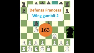 Defensa Francesa Wing gambit 02 [upl. by Leaffar785]