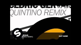 Cedric Gervais  Molly Quintino Remix [upl. by Retrop217]