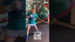 CANELO DESTROYS HEAVY BAG TRAINING FOR CHARLO FIGHT [upl. by Nahej566]