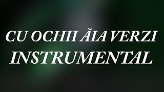 Lidia Buble  Cu ochii aia verzi  Instrumental [upl. by Vilberg]