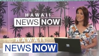 ‘We want to go home’ Mechanical issues trigger 2day delay of Hawaiian Air flight from Las Vegas [upl. by Longo]