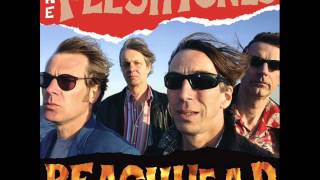 The Fleshtones  Serious [upl. by Aguste655]