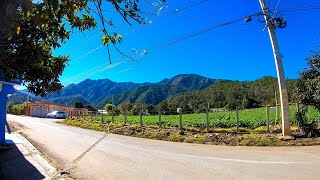 Walking in Constanza 🇩🇴 Dominican Republic 4k [upl. by Adel923]