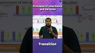 Principles of inheritance and variations Class 12 Biology  base pair subsitutions shorts [upl. by Wrigley270]