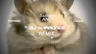 The Hampster Dance  DJ Harmonics amp DJ Striden Remix [upl. by Daniyal]