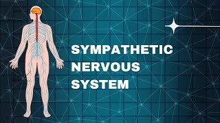 Sympathetic Nervous System  Autonomic Nervous System  Pharmacology  Medicinal Chemistrypharmacy [upl. by Alet87]