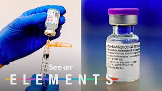 What’s In the Pfizer amp Moderna COVID Vaccines [upl. by Alywt]