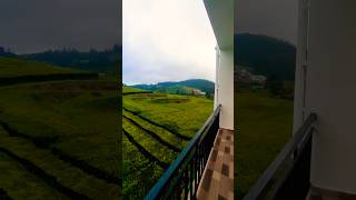 Tea Estate View Stay Ooty  Best Stay in Ooty ooty tamilnadutourism ootyresort masanagudi [upl. by Latihs869]