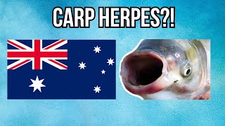 The Australian Government is Giving STDs to Fish [upl. by Ecined]