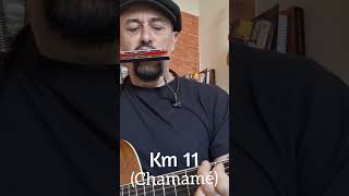 Km 11  Tránsito Cocomarola Chamamé  Tremolo harmonica and acoustic guitar [upl. by Enileuqkcaj]