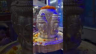 shorts bholenath viralvideo harharharmahadev kedarnath kedarnath [upl. by Naaman]