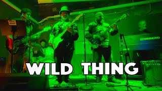 Wild Thing  The Troggs  Perfect Strangers Cover [upl. by Emina]