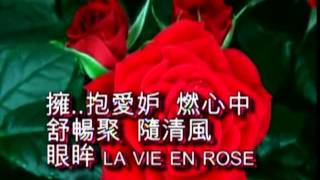 La Vie En Rose 蘆葦愛玫瑰  中英文 MMM  Eng amp 粵語  Lanny Shum 岑南羚 [upl. by Jenkel]