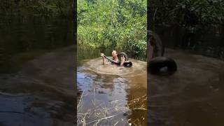 Catching an anaconda in the Amazon rainforest snakewildlifeanimalsviralyoutubejunglecrazy [upl. by Moskow]