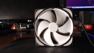 Blacknoise Noiseblocker NBeLoop B12P  Fan Noise [upl. by Naujud]