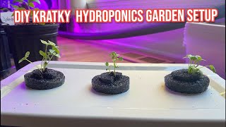 DIY Kratky Hydroponics Garden Setup [upl. by Elaval]