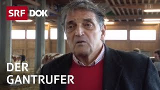 Alois Wyss – der ProfiGantrufer  Landwirtschaftliche Steigerung  Reportage  SRF [upl. by Jelene]