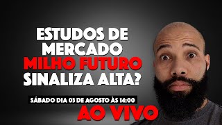 ESTUDOS DE MERCADO  MILHO FUTURO FEZ UM MOVIMENTO INTERESSANTE  VAI SUBIR [upl. by Essiralc]