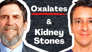 Oxalates amp Kidney stones  Dr David Goldfarb MD [upl. by Annanhoj]